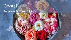  Presentation with fresh water - PPT theme featuring rose-water-fresh-roses background and a ocean colored foreground