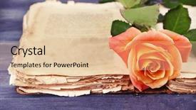  Presentation with old book - Audience pleasing PPT theme consisting of rose with open old book backdrop and a lemonade colored foreground