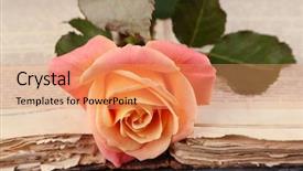  Presentation with english literature old book - Cool new slide deck with rose with open old book backdrop and a coral colored foreground