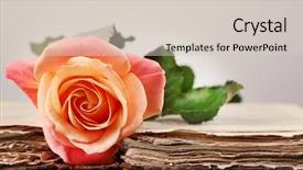  Presentation with old book - Cool new presentation design with rose with open old book backdrop and a lemonade colored foreground