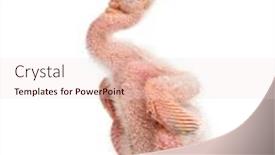  Presentation with chick - PPT theme enhanced with roseate-spoonbill-chick-platalea-ajaja background and a lemonade colored foreground