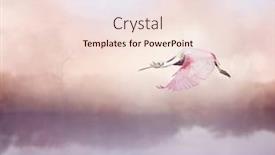  Presentation with flight - Audience pleasing slide deck consisting of roseate-spoonbill-platalea-ajaja backdrop and a lemonade colored foreground