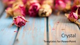  Presentation with roses - PPT theme with rosebud - beautiful dried roses on wooden background and a soft green colored foreground