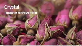  Presentation with herbal - Audience pleasing slide deck consisting of rosebud - herbal rose tea backdrop and a tawny brown colored foreground