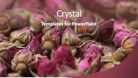  Presentation with herbal medicine healing herbs mortar - Colorful slide deck enhanced with rosebud - herbal rose tea backdrop and a tawny brown colored foreground