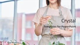  Presentation with pink rose - Beautiful PPT layouts featuring rosebud - pale pink or beige rose backdrop and a lemonade colored foreground