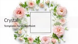  Presentation with pink roses - Presentation enhanced with rosebud - pink roses and blank card background and a white colored foreground