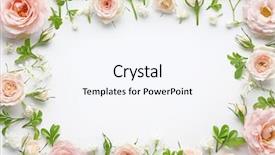  Presentation with pink roses - Slide deck featuring rosebud - pink roses on white background background and a sky blue colored foreground