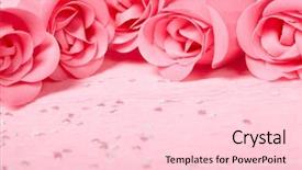  Presentation with pink roses - Slide set featuring rosebud - pink roses background and a lemonade colored foreground
