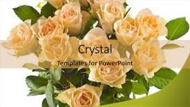  Presentation with wedding roses - PPT theme enhanced with rosebud - wedding bouquet of cream roses background and a yellow colored foreground