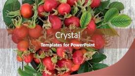  Presentation with fruit drink - Presentation design featuring rosehip-berry-fruit-health-food background and a tawny brown colored foreground