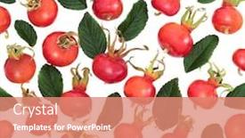  Presentation with immune - PPT layouts with rosehip-berry-fruit-immune-boosting background and a coral colored foreground