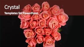  Presentation with light roses - Slide deck consisting of roselight - bouquet of light orange roses background and a tawny brown colored foreground