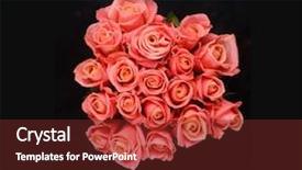  Presentation with war roses tudor rose - Slide deck enhanced with roselight - bouquet of light orange roses background and a tawny brown colored foreground