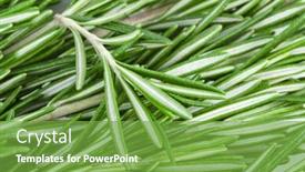  Presentation with herb - Colorful presentation theme enhanced with rosemary-herb-background backdrop and a seafoam green colored foreground