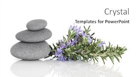 Presentation with herb - Presentation design enhanced with rosemary herb leaf and flower sprigs with three grey spa stones isolated over white background with reflection background and a white colored foreground