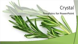  Presentation with spices - PPT theme having rosemary spices background and a white colored foreground