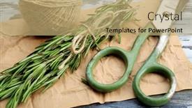  Presentation with parchment - Slides enhanced with rosemary sprigs with rope and scissors on parchment on wooden table closeup background and a coral colored foreground