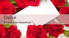  Presentation with invitation - Amazing PPT layouts having roses and a blank invitation backdrop and a lemonade colored foreground