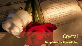  Presentation with adam eve - Beautiful slides featuring roses and bible with genesis backdrop and a tawny brown colored foreground