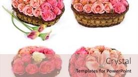  Presentation with calla - Cool new presentation theme with roses-and-calla-lilies-pink backdrop and a lemonade colored foreground