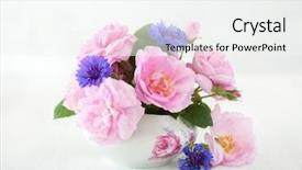  Presentation with light roses - Audience pleasing presentation consisting of roses and cornflowers on pale backdrop and a white colored foreground