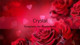  Presentation with wedding roses - Audience pleasing presentation theme consisting of roses and hearts background valentine backdrop and a red colored foreground