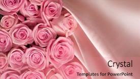  Presentation with pink silk - PPT theme consisting of roses and silk background and a coral colored foreground
