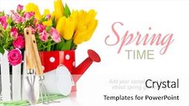  Presentation with garden tools - Audience pleasing PPT theme consisting of roses and tulips with garden tools isolated on white background backdrop and a white colored foreground