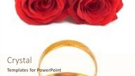  Presentation with wedding roses - Theme featuring roses and wedding rings isolated on white background background and a cream colored foreground