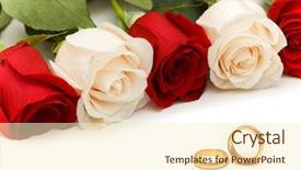  Presentation with wedding roses - Presentation design having roses and wedding rings isolated on white background and a cream colored foreground