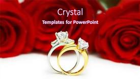  Presentation with wedding roses - Cool new presentation theme with roses and wedding rings isolated on the white backdrop and a crimson colored foreground