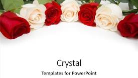  Presentation with roses - PPT layouts featuring roses arranged on white background with copyspace background and a white colored foreground