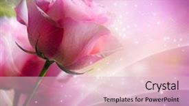  Presentation with wedding card - Cool new slide deck with roses art design invitation card backdrop and a lemonade colored foreground