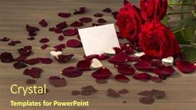  Presentation with mother love - Presentation design with roses as a gift and surprise to a party symbolic photo for birthday mother's day love valentine's day background and a tawny brown colored foreground