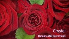  Presentation with roses - Audience pleasing presentation theme consisting of roses background backdrop and a tawny brown colored foreground