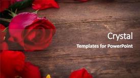 Presentation with rose wood - Beautiful slide deck featuring roses blue - rose on wooden background backdrop and a tawny brown colored foreground