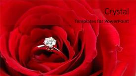  Presentation with community engagement - Audience pleasing slide set consisting of roses diamonds - close up of engagement ring backdrop and a crimson colored foreground