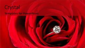  Presentation with engagement - Presentation theme with roses diamonds - close up of engagement ring background and a  colored foreground
