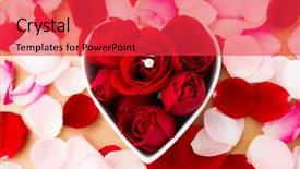  Presentation with waikiki diamond head - Amazing PPT theme having support wheel chair taxi at hk backdrop and a light gray colored foreground