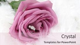  Presentation with diamonds - Audience pleasing presentation design consisting of roses diamonds - wedding ring in rose backdrop and a lemonade colored foreground