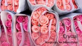  Presentation with red roses rose garden - Beautiful PPT theme featuring roses for sale at market backdrop and a  colored foreground