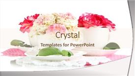  Presentation with napkins - Presentation consisting of roses in cups on napkins isolated on white background and a cream colored foreground