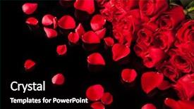  Presentation with roses - Colorful PPT theme enhanced with roses isolated on black backdrop and a black colored foreground