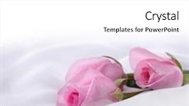  Presentation with pink silk - Amazing slide set having roses on a white silk backdrop and a white colored foreground