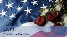  Presentation with veterans day - PPT theme featuring roses on american national flag background and a teal colored foreground