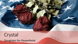  Presentation with american flag - Colorful PPT layouts enhanced with roses on american national flag backdrop and a coral colored foreground