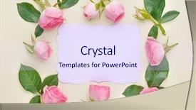  Presentation with greeting card - Slides with roses on paper card background and a sky blue colored foreground