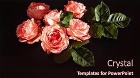  Presentation with roses - Slide deck consisting of roses-on-the-black-background background and a wine colored foreground