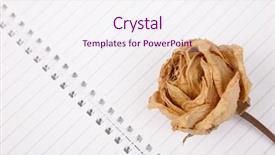  Presentation with war roses tudor rose - Theme featuring roses on the blank book background and a  colored foreground